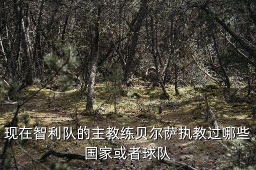現(xiàn)在智利隊(duì)的主教練貝爾薩執(zhí)教過(guò)哪些國(guó)家或者球隊(duì)