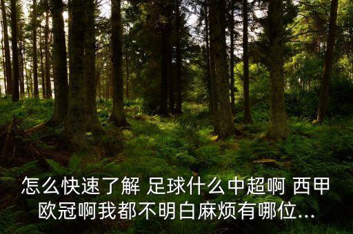 這不是足球這是西甲
