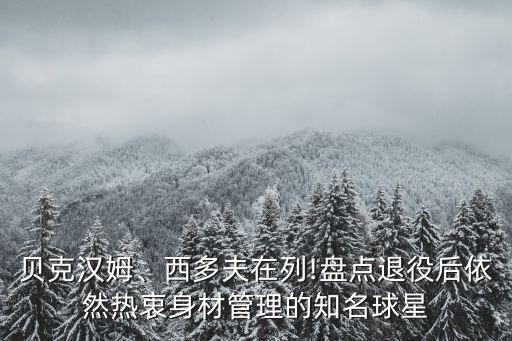 貝克漢姆、西多夫在列!盤點(diǎn)退役后依然熱衷身材管理的知名球星