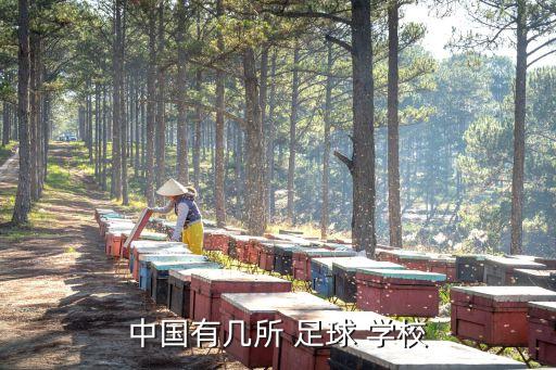 中國有幾所 足球 學校