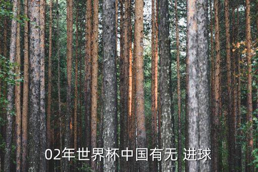02年世界杯中國有無 進球