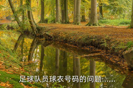  足球隊員球衣號碼的問題……