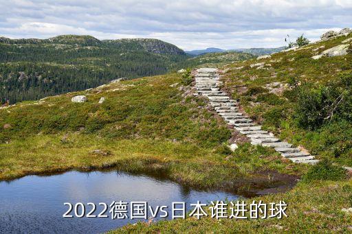 2022德國vs日本誰進(jìn)的球