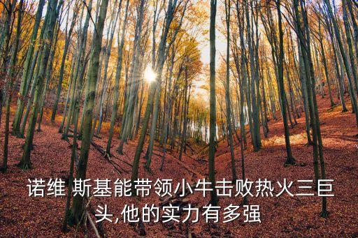 諾維斯基轉戰(zhàn)足球