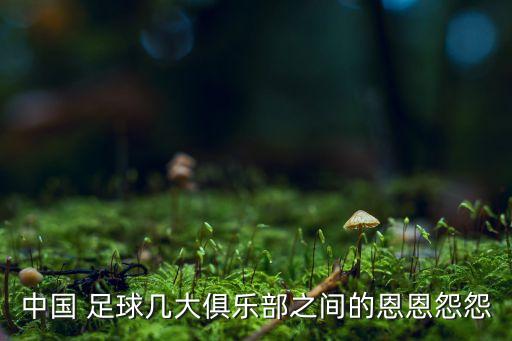 中國 足球幾大俱樂部之間的恩恩怨怨
