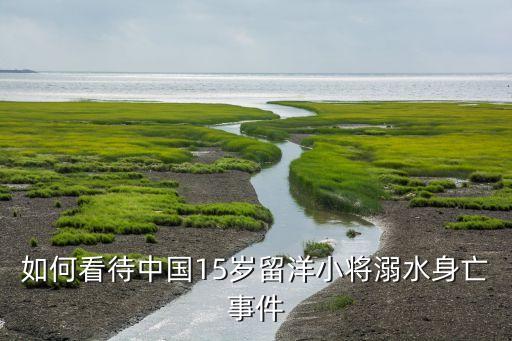 如何看待中國(guó)15歲留洋小將溺水身亡事件