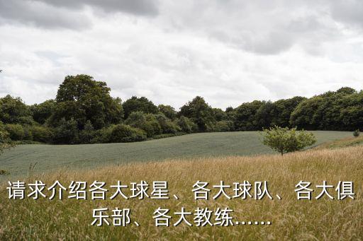 請求介紹各大球星、各大球隊(duì)、各大俱樂部、各大教練……