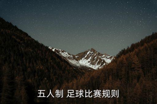 伊朗 足球鞋,伊朗足球鞋