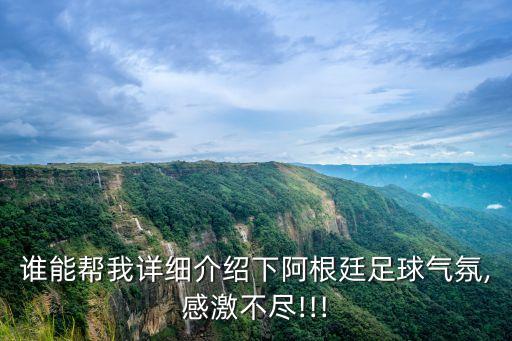 誰能幫我詳細介紹下阿根廷足球氣氛,感激不盡!!!