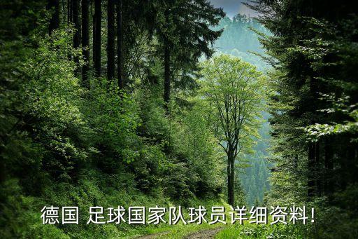 足球13號巴拉克,德國足球運(yùn)動員巴拉克