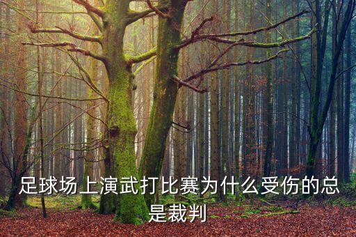  足球場(chǎng)上演武打比賽為什么受傷的總是裁判