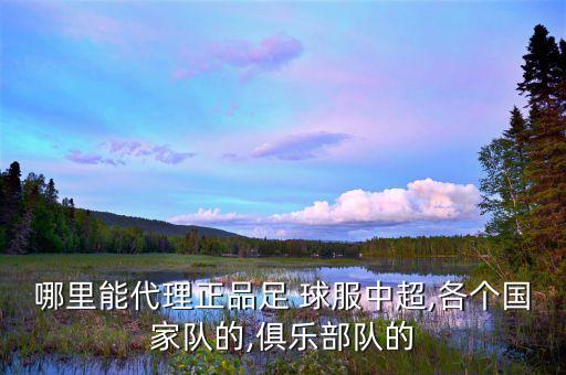 哪里能代理正品足 球服中超,各個(gè)國家隊(duì)的,俱樂部隊(duì)的