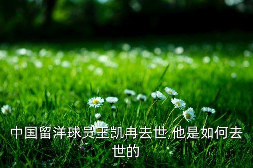 中國(guó)留洋球員王凱冉去世,他是如何去世的