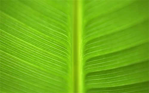 足球比分哪個(gè)網(wǎng)站好,買輸贏彩注意事項(xiàng)