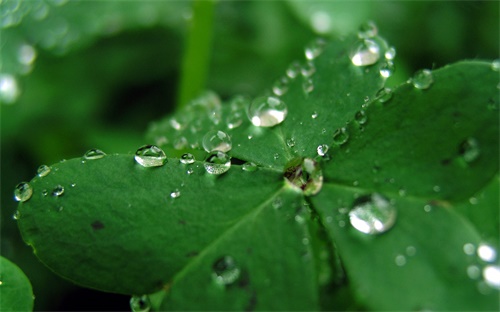 哪個網(wǎng)站分析足球波膽,足球波膽是一個網(wǎng)絡(luò)流行語!